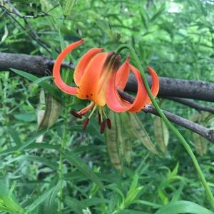 Meet your Posher, Kara